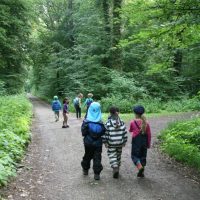 Im Wald unterwegs